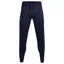 Under Armour Women's HeatGear Pants Navy